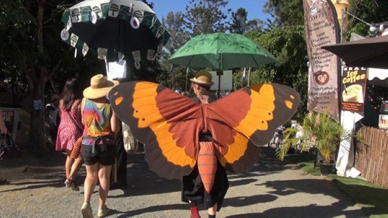 ウッドフォードフォークフェスティバルビデオ