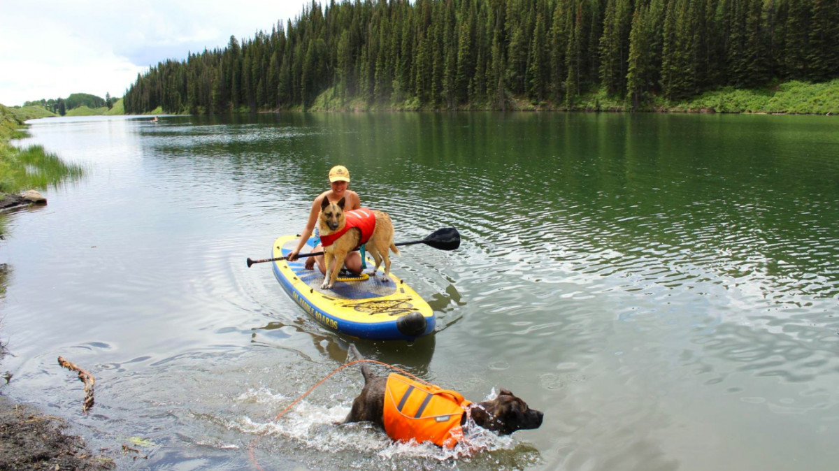 コロラドで21の最高の山の町（地元の）