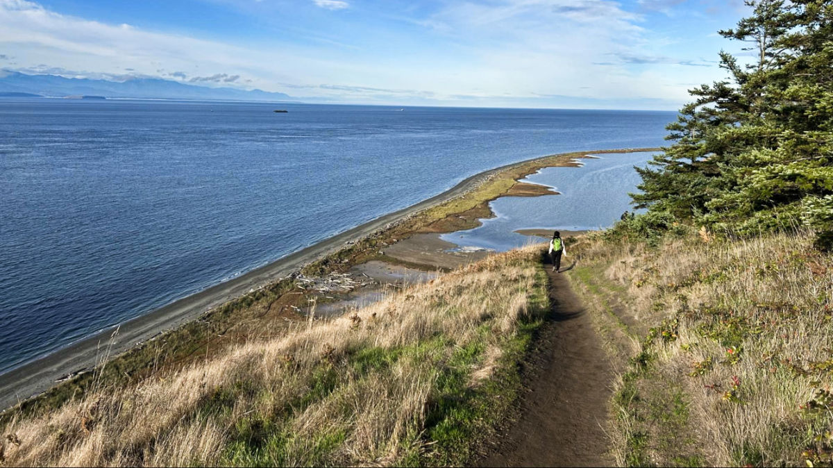 これがWhidbey Islandで何をすべきかです