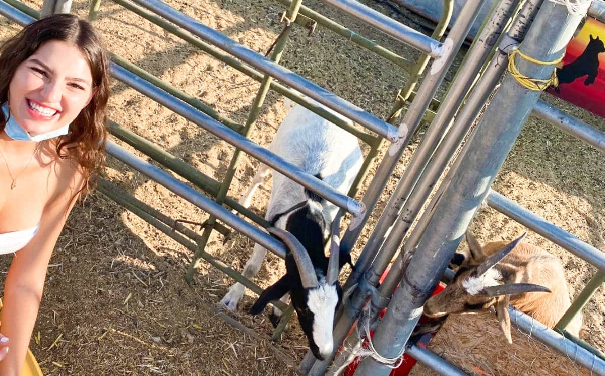 子供と一緒にラスベガスでやるべき25のこと（地元の）