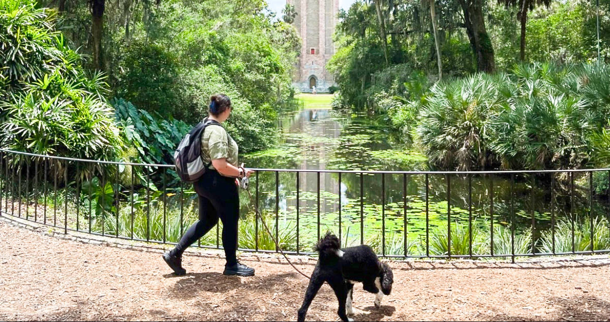 タンパからの17の最高の日帰り旅行(地元の)