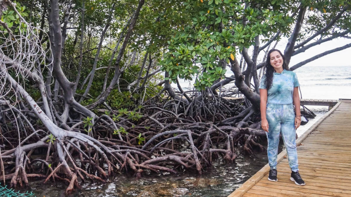 13プエルトリコ諸島あなたが訪問しなければならない(地元の)