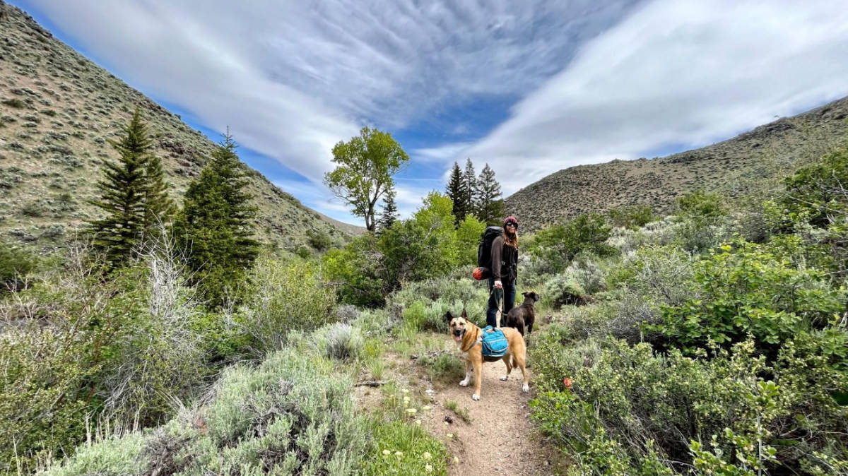 あなたの究極のバックパッキングチェックリスト（38のものを持参するもの）