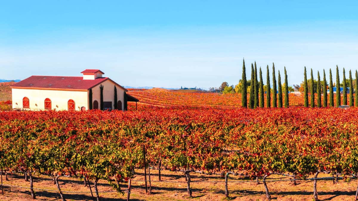 テメキュラのどこに滞在するか（最高の場所とエリア）