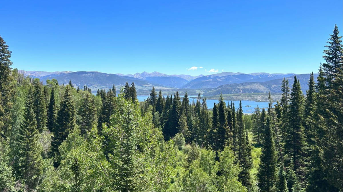 フリスコでやるべきこと（初めての人向け）