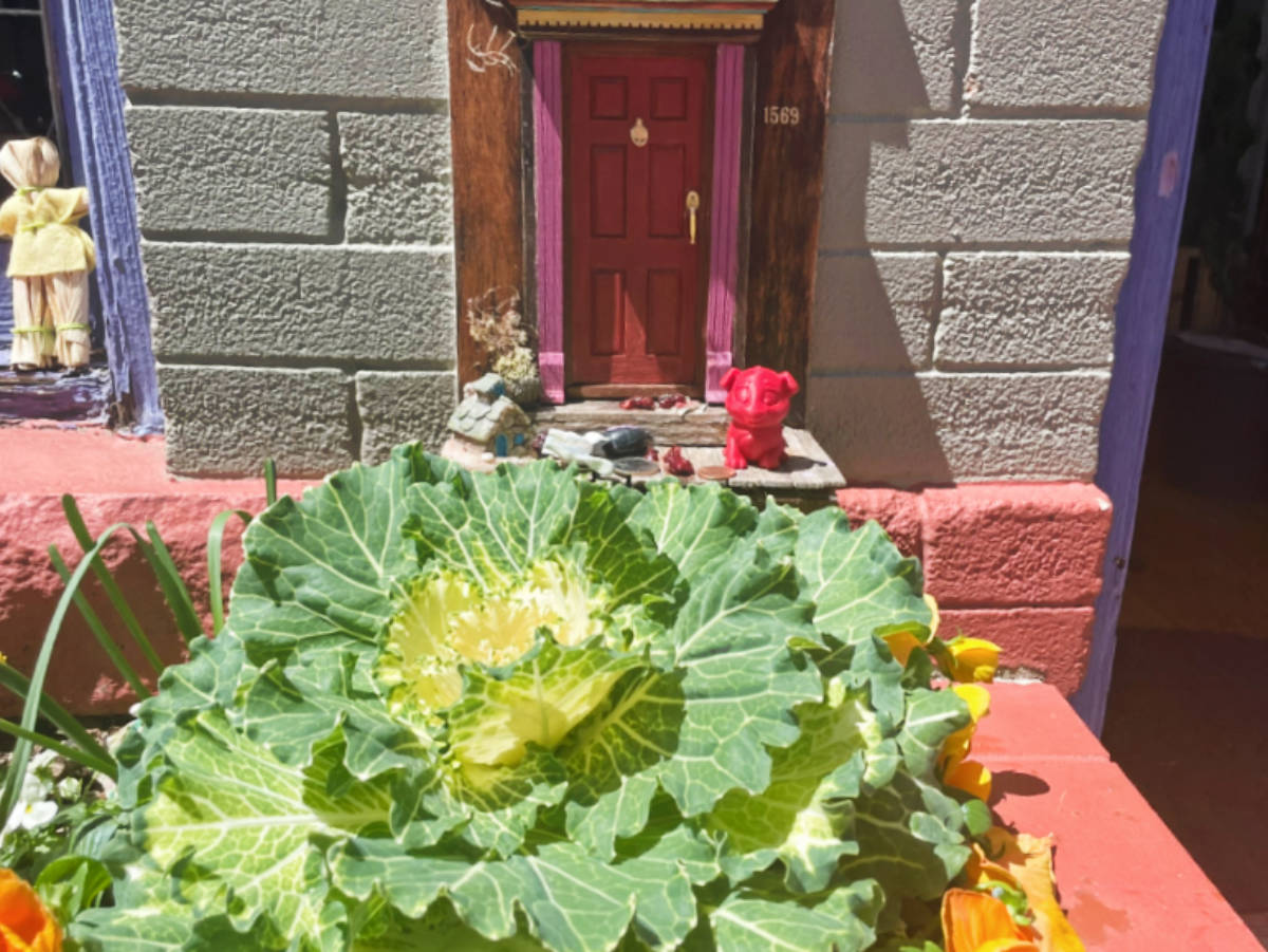 私は風変わりなデンバーアートスカベンジャーハントを発見しました、ほとんどの地元の人は知らない