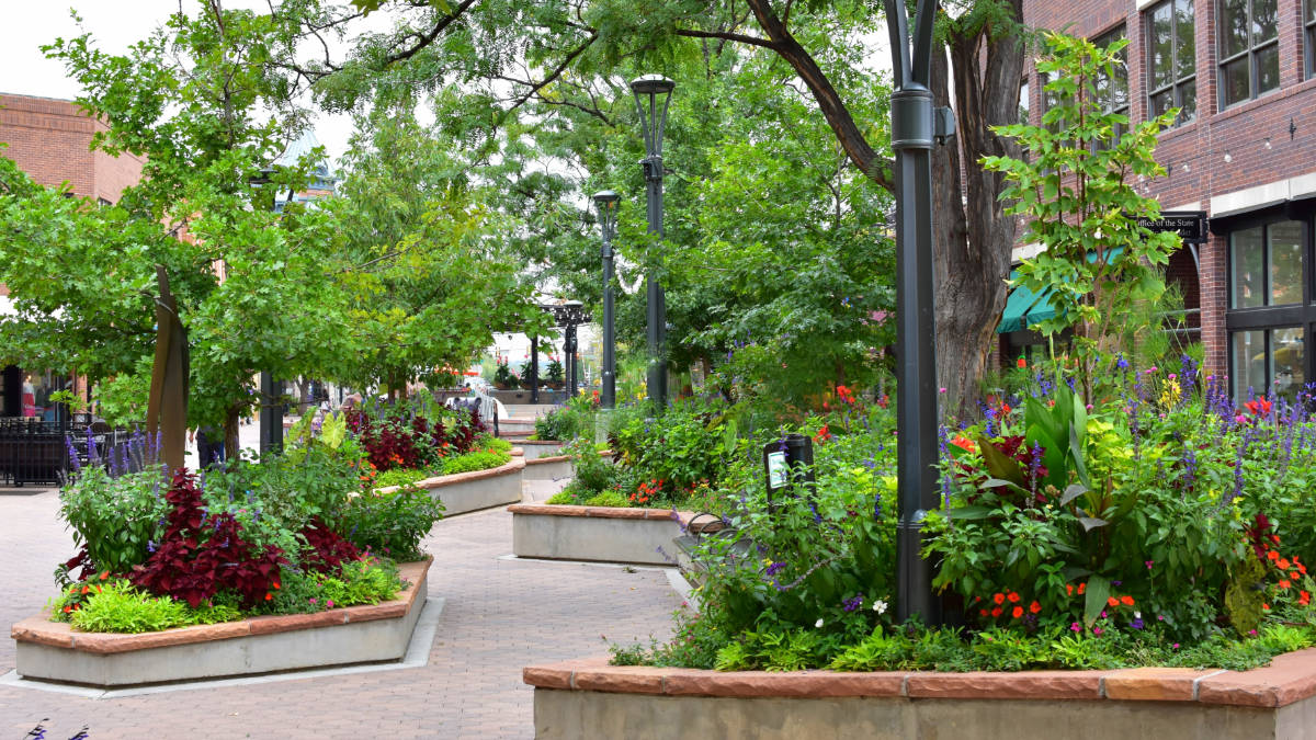 フォートコリンズのどこに滞在するか（最高の場所とエリア）