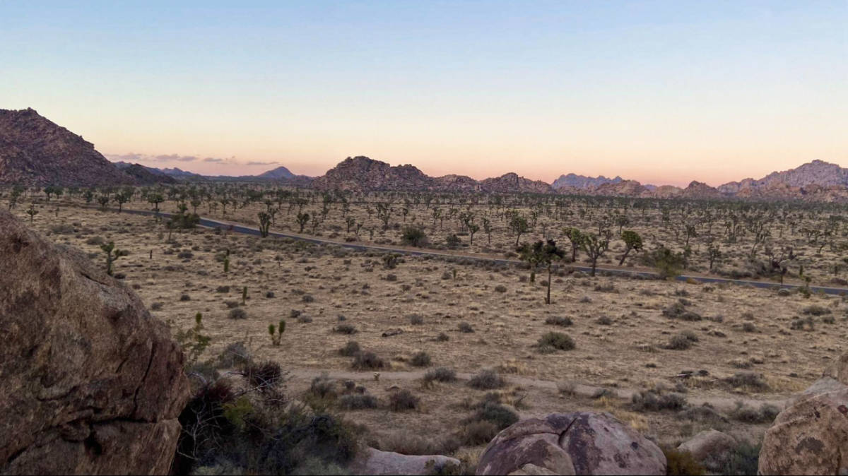 デスバレーvsジョシュアツリーの比較(長所)