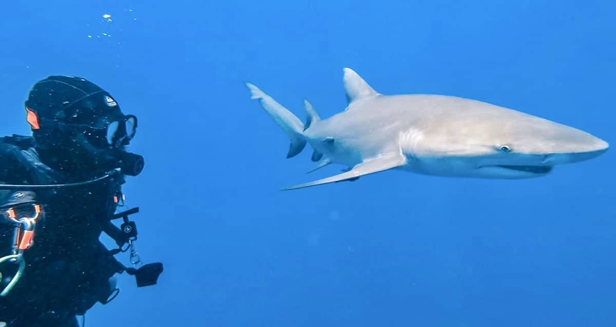 フロリダ州ジュピターでやるべき21の楽しいこと