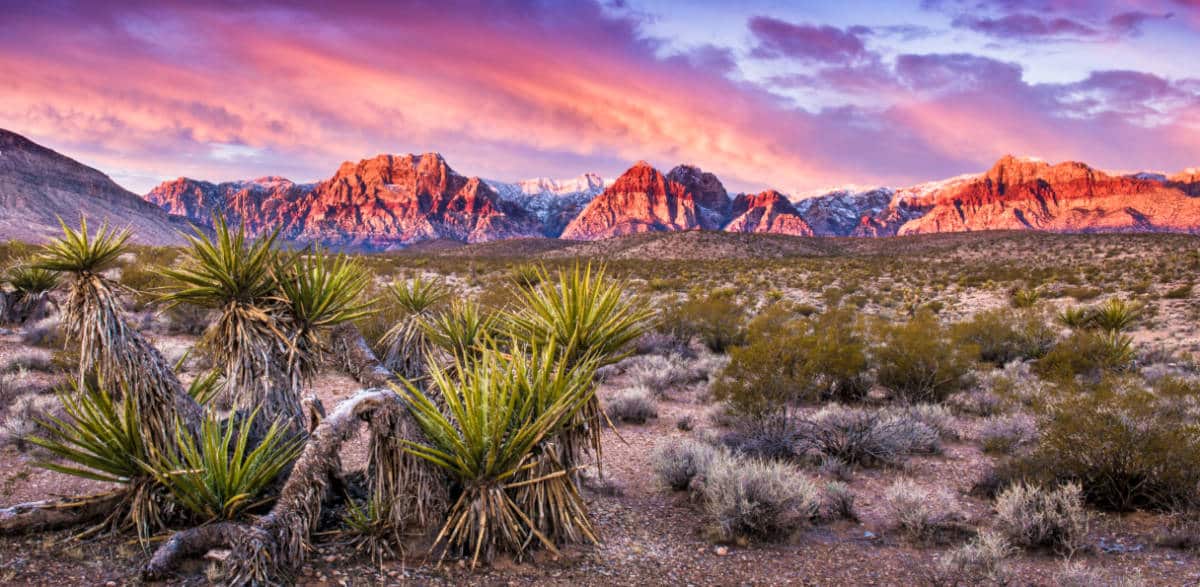 ラスベガスの近くでキャンプに行くのに良い場所