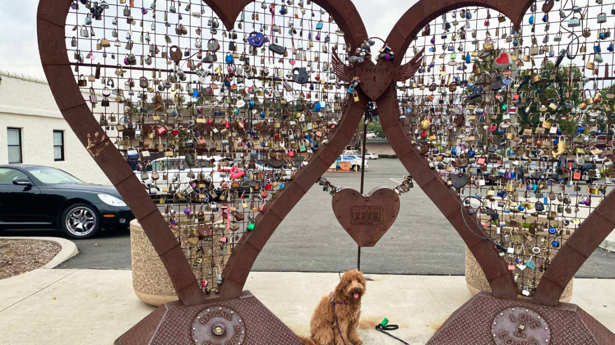 31カリフォルニア州ビスタでやるべき楽しいこととクールなこと