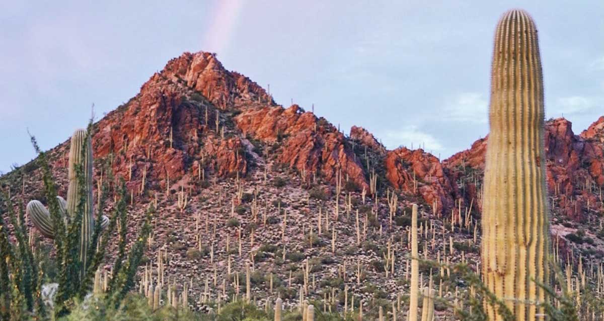アリゾナで訪れるのに最適な27の場所（地元の）