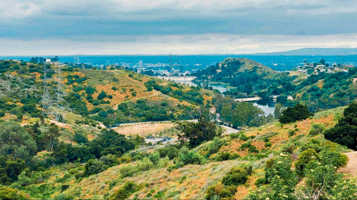 ロサンゼルスが雨が降っているときに私の好きなこと