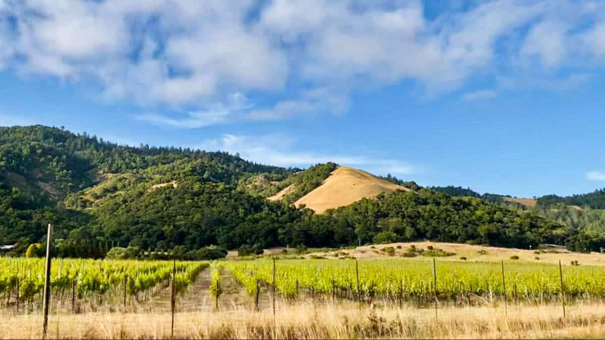 ヒールズバーグでやるべき18の最善のこと