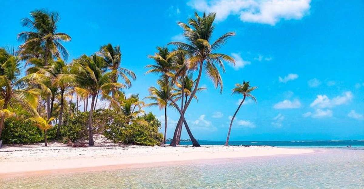 あなたが見る必要がある透明な海の20のカリブ海の島