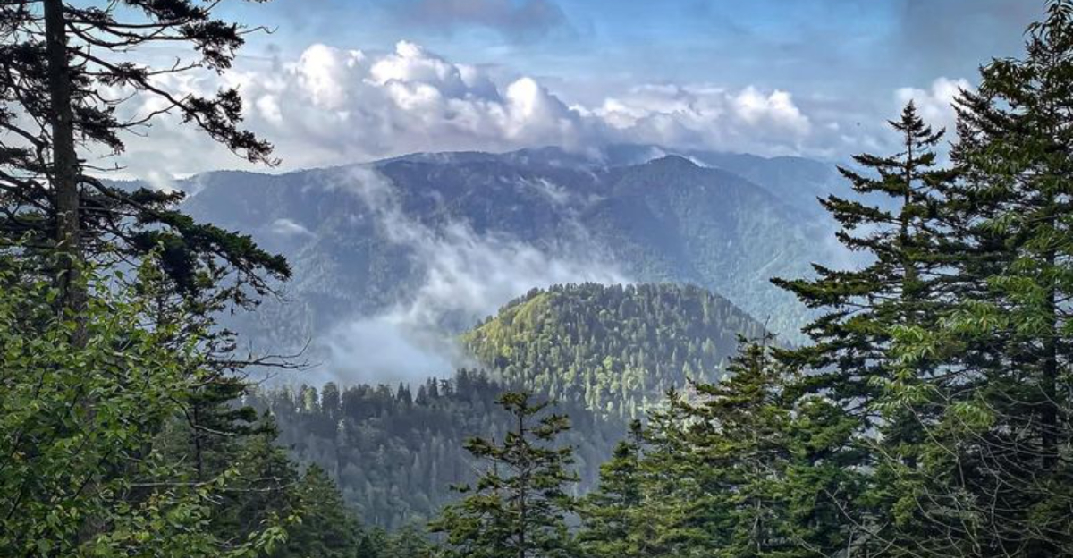 実際に訪れる価値があるアメリカの11の観光客のtrap