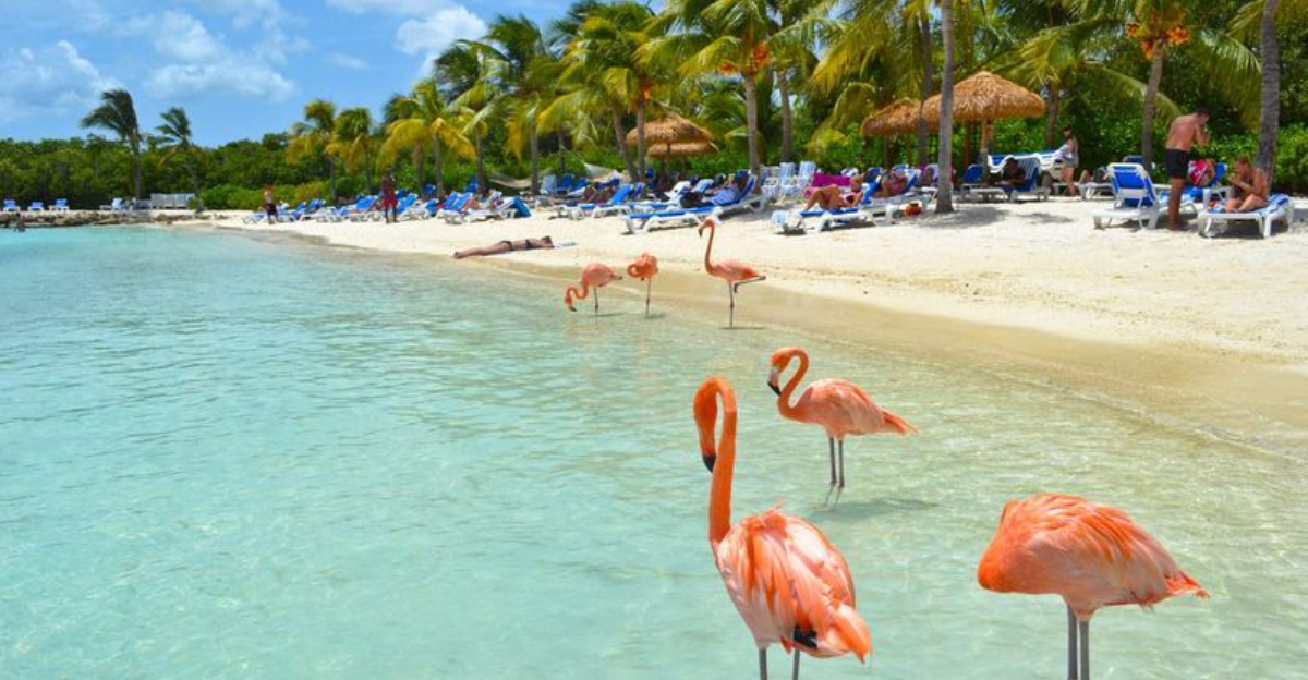 私はカリブ海の15の島に行ったことがあります