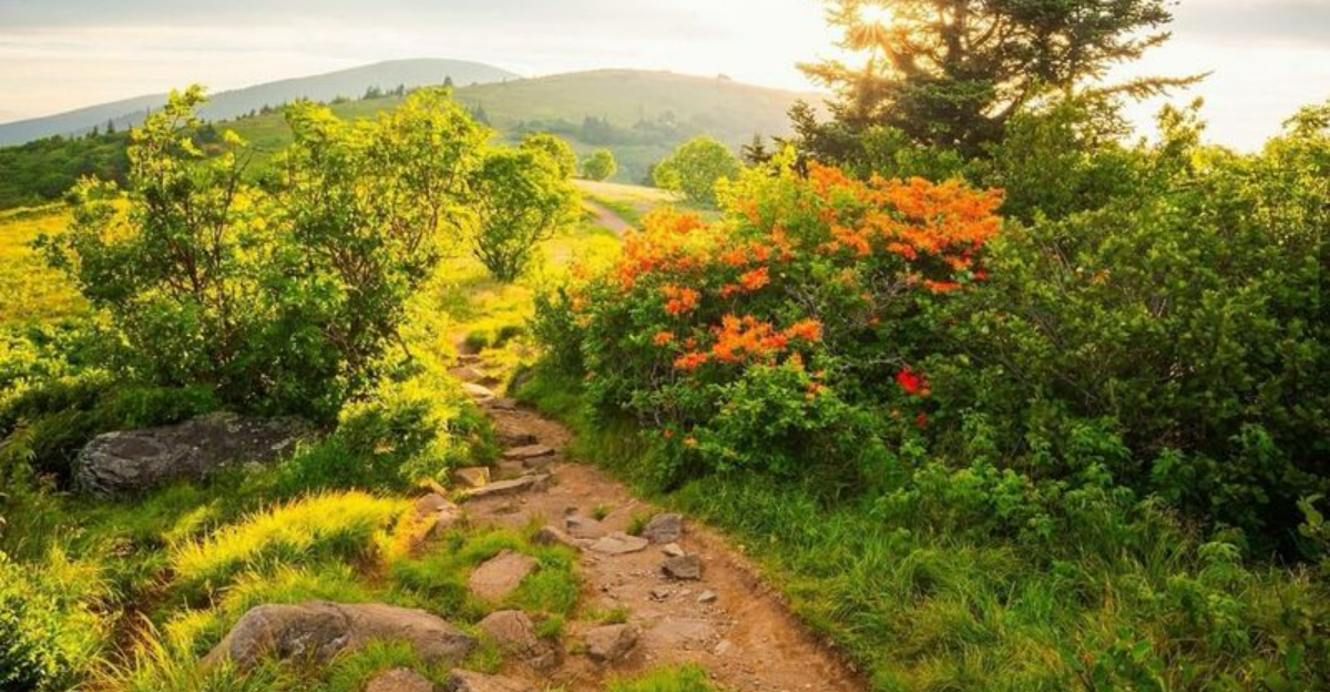 22良心的な旅行者のための最高の米国の環境にやさしい目的地（持続可能な滞在と緑の冒険）