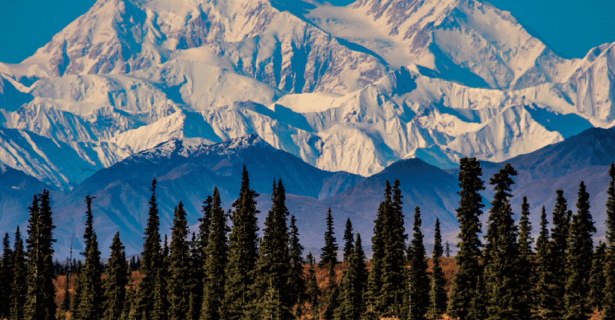 11誰も訪問していないように見える見事な状態です