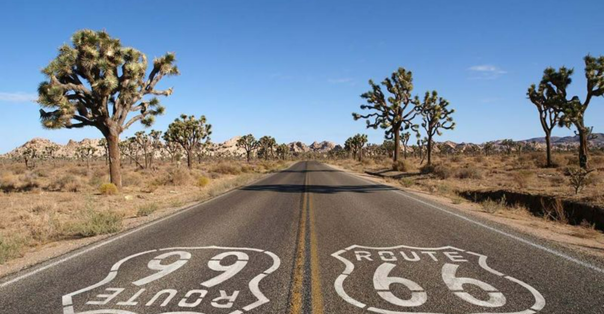 あなたを連れ戻す12人の健康な米国の休暇