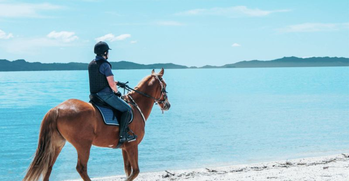 21ワークアウトにインスパイアされた世界中の冒険