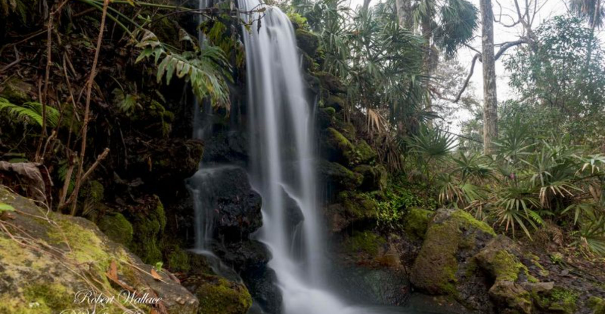 地元の人だけが知っているフロリダの23秘密の場所