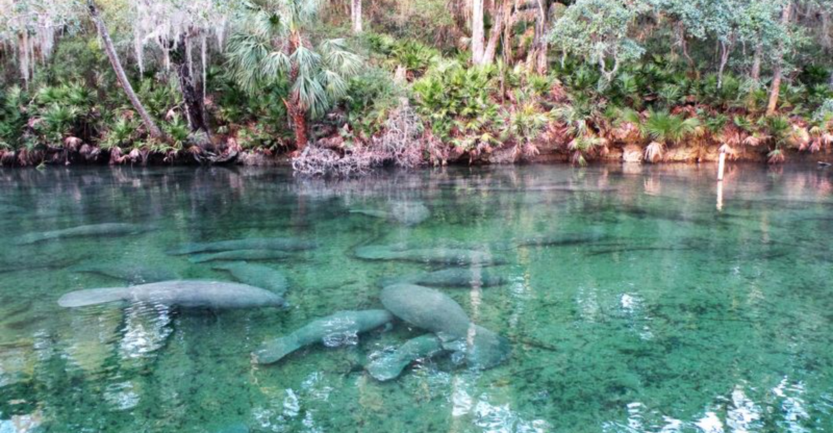 26ユニークなオーランドスポットのほとんどの観光客はスキップします