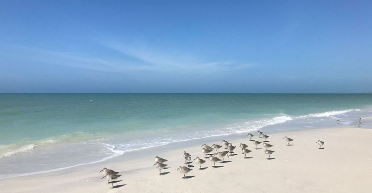 8つの隠されたフロリダのビーチは、決して去りたくありません