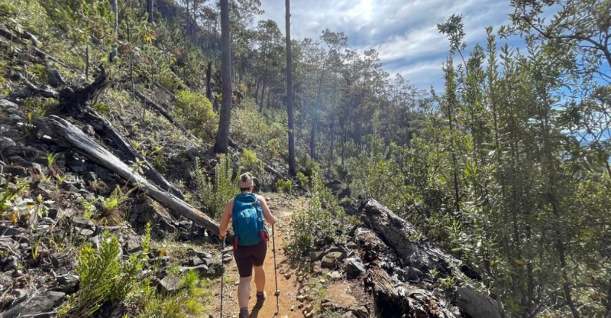 ドミニカ共和国で探索する9つの壮大なハイキング