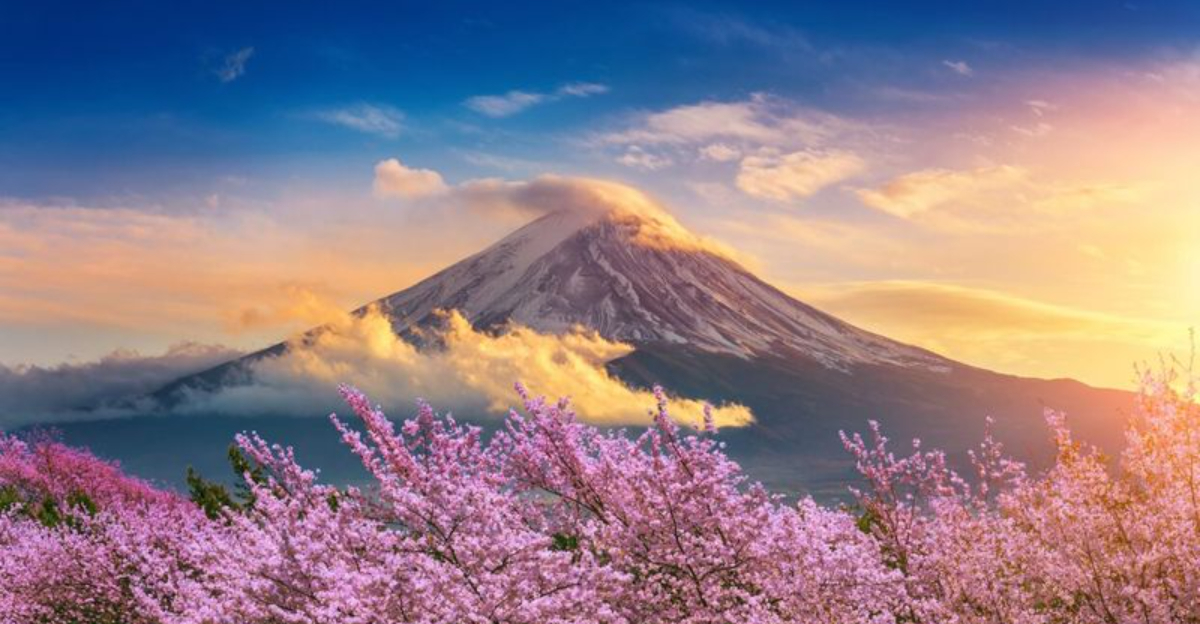 富士山を賞賛する一日：日本の雄大な山への忘れられない旅