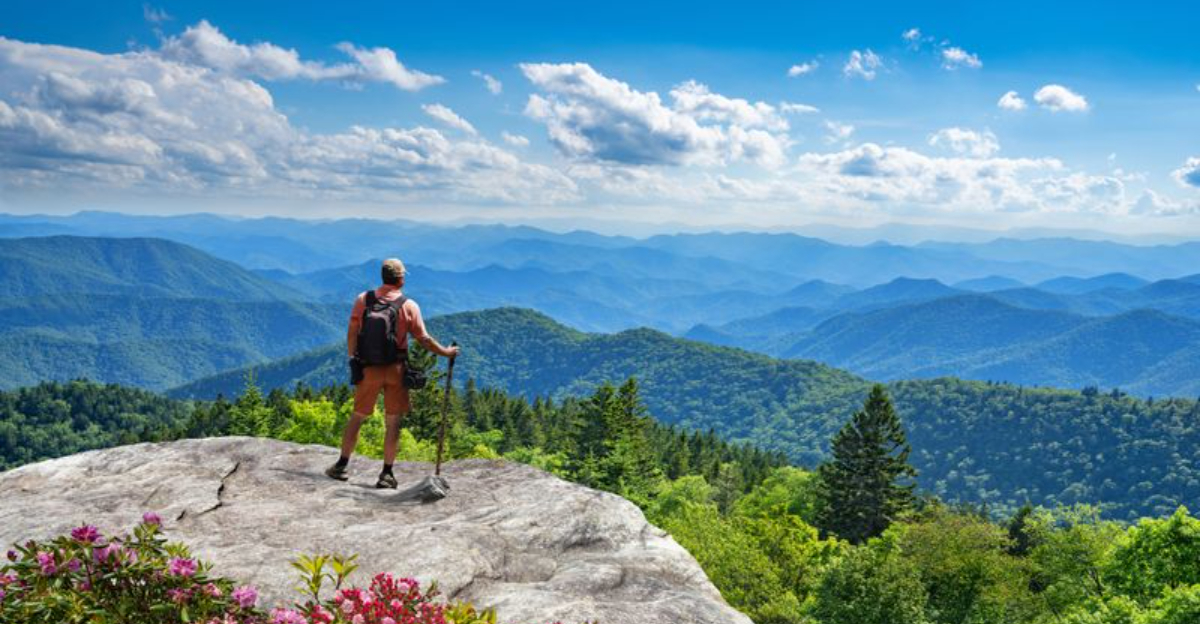 アッシュビルの歴史的な芸術品や工芸の目的地は、買い物をする魅力的な場所を提供します
