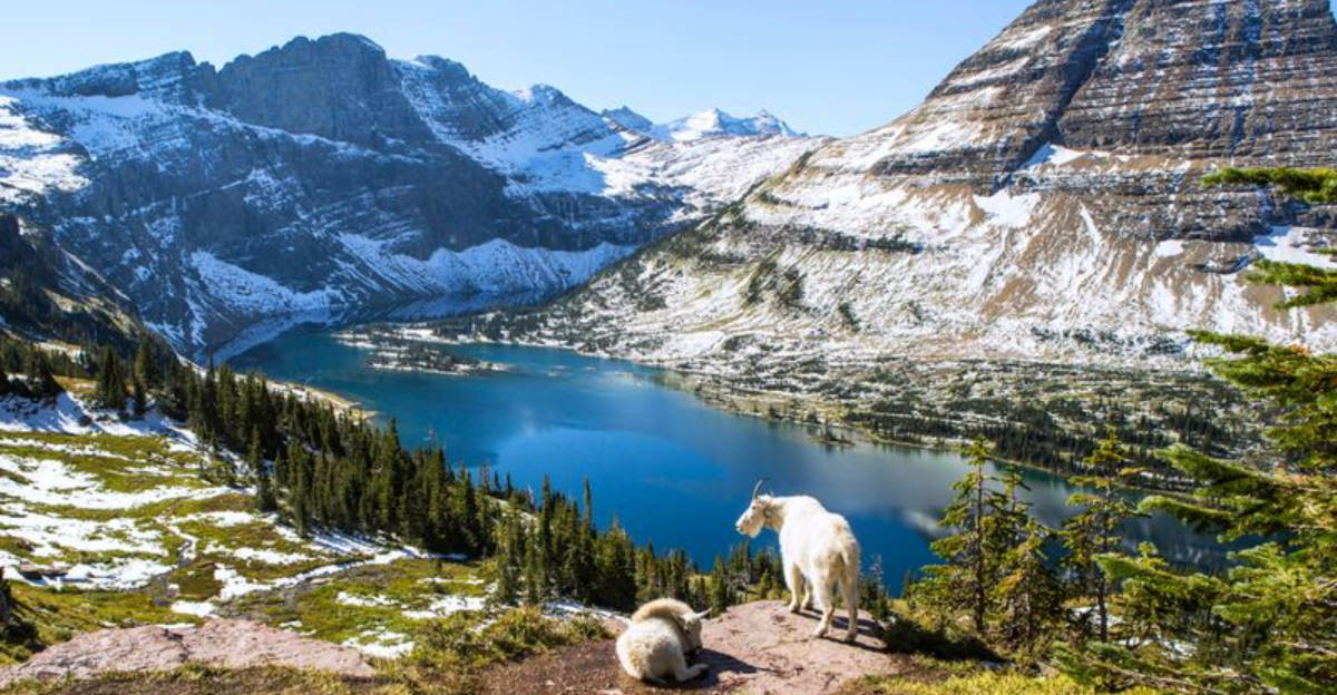 米国の50州すべてを訪問した後、これらは10の州立公園です。すべての旅行者は少なくとも一度は経験すべきだと思います