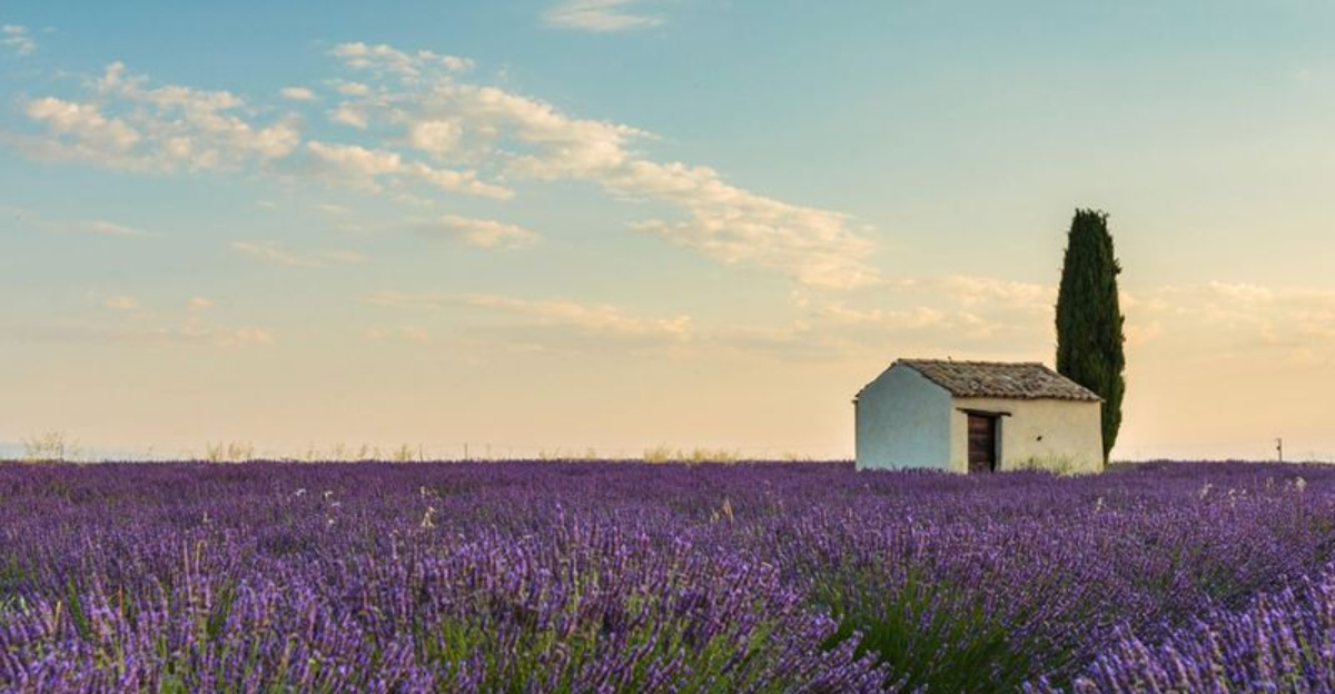 フランスで訪れる最高の場所を発見してください