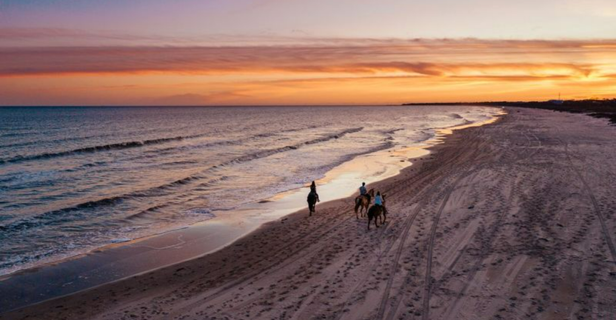 群衆を避けるのに最適なフロリダのビーチ