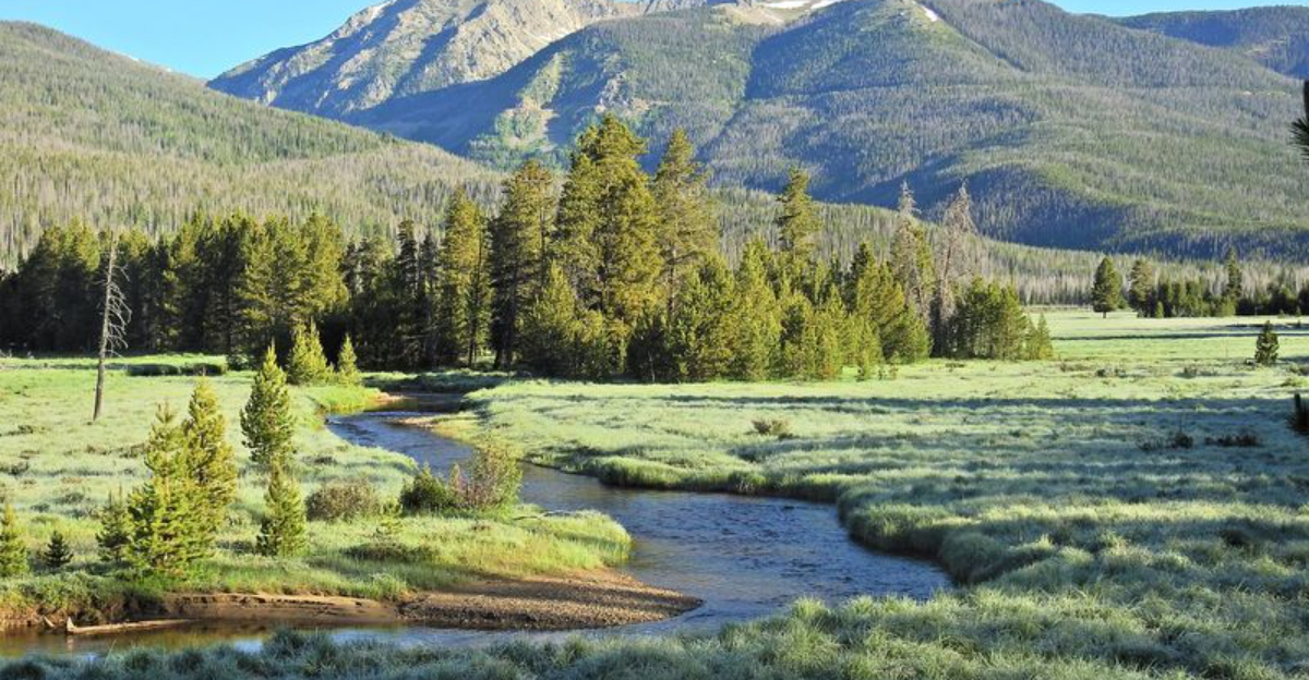 私はロッキーマウンテン国立公園の近くに住んでいます。