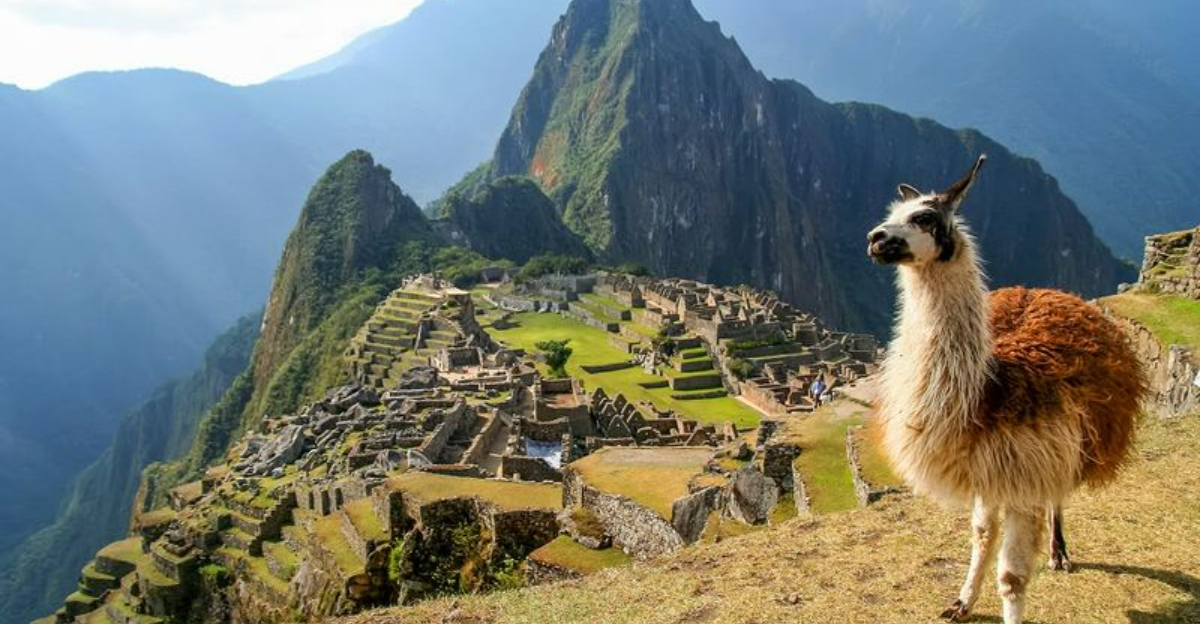 私は100か国以上に行ったことがあります。私はこれらの8に戻りたい