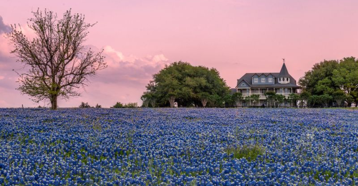 テキサスの最も美しい町の1つは、ヒルカントリーの中心部に隠されている芸術的な屋外の楽園です