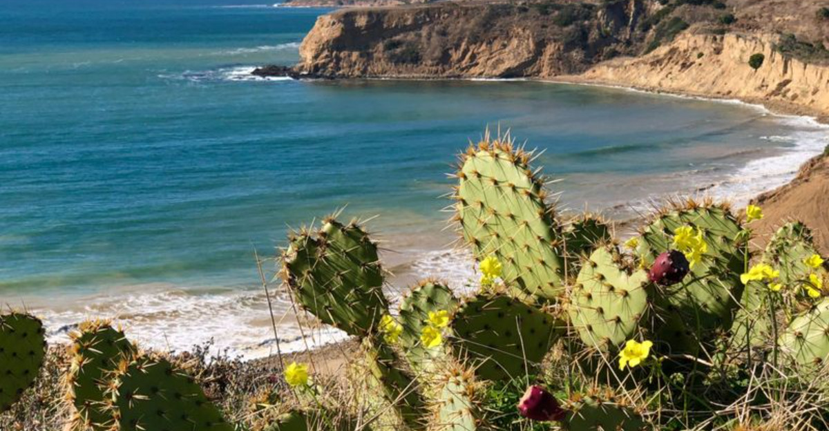 スタイリッシュでありながら驚くほど驚くほど下のカリフォルニアのビーチの町は、シチリアからまっすぐに沿岸の景色を眺めることができます