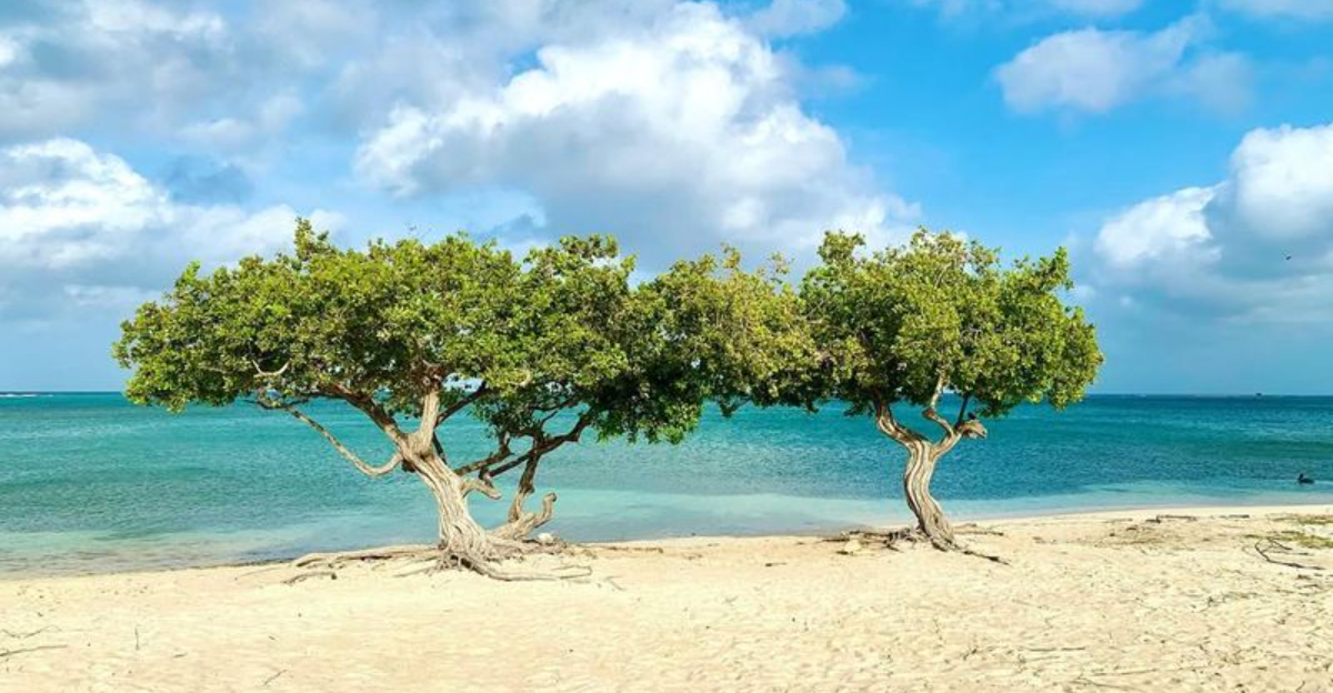 旅行リスクのある12カリブ海の島 + 5の安全な逃走