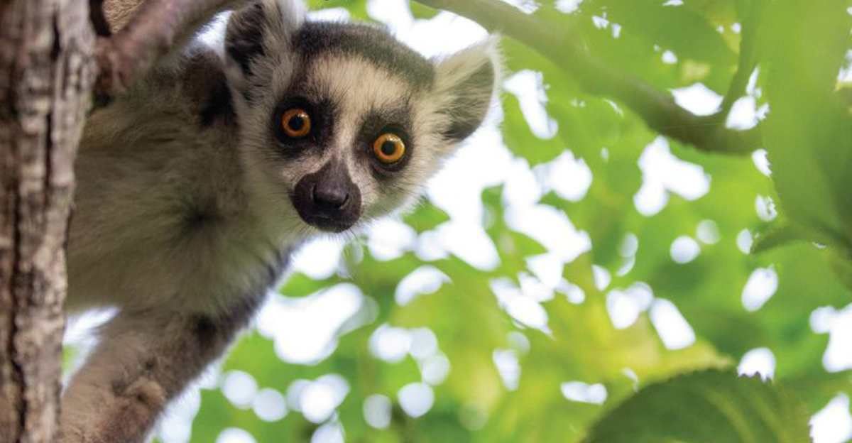 ソロ旅行に驚くほど理想的な14のリモート目的地