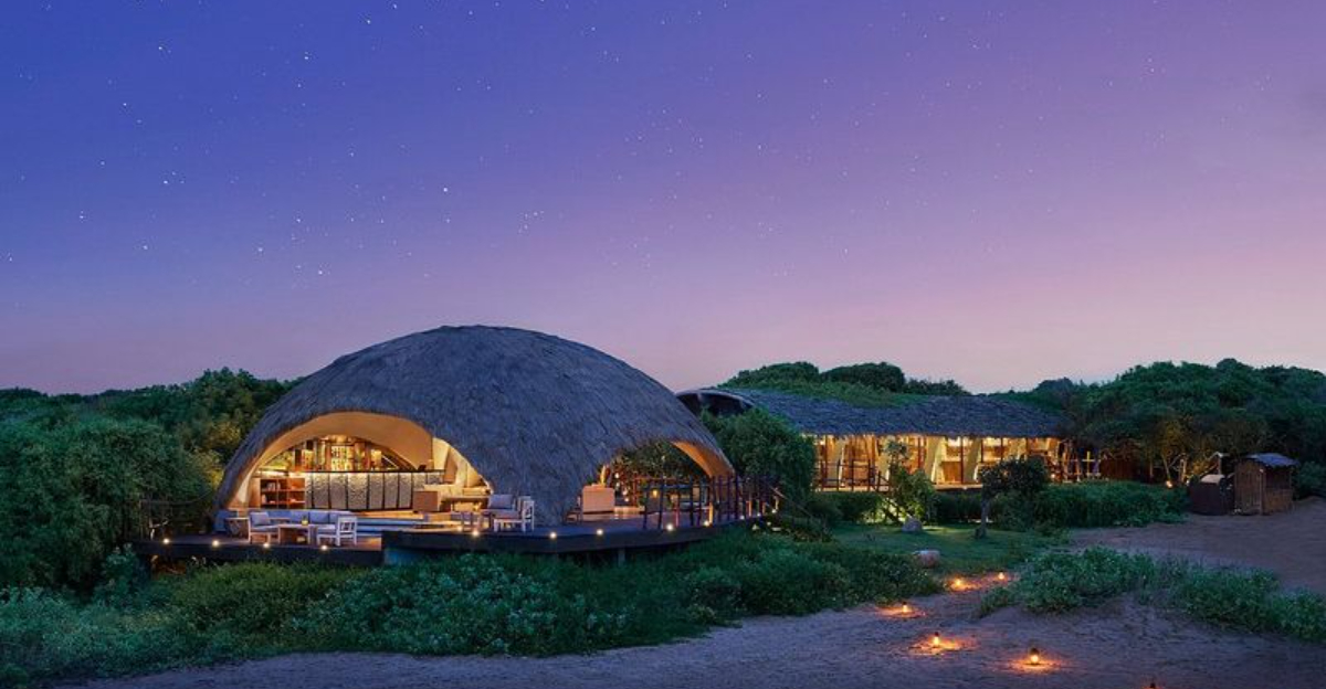 これまで以上に自然に近づく14の野生の出会い