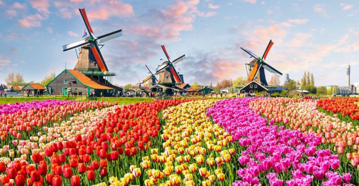 実際の生活よりも旅行ブログでよく聞こえる15の都市