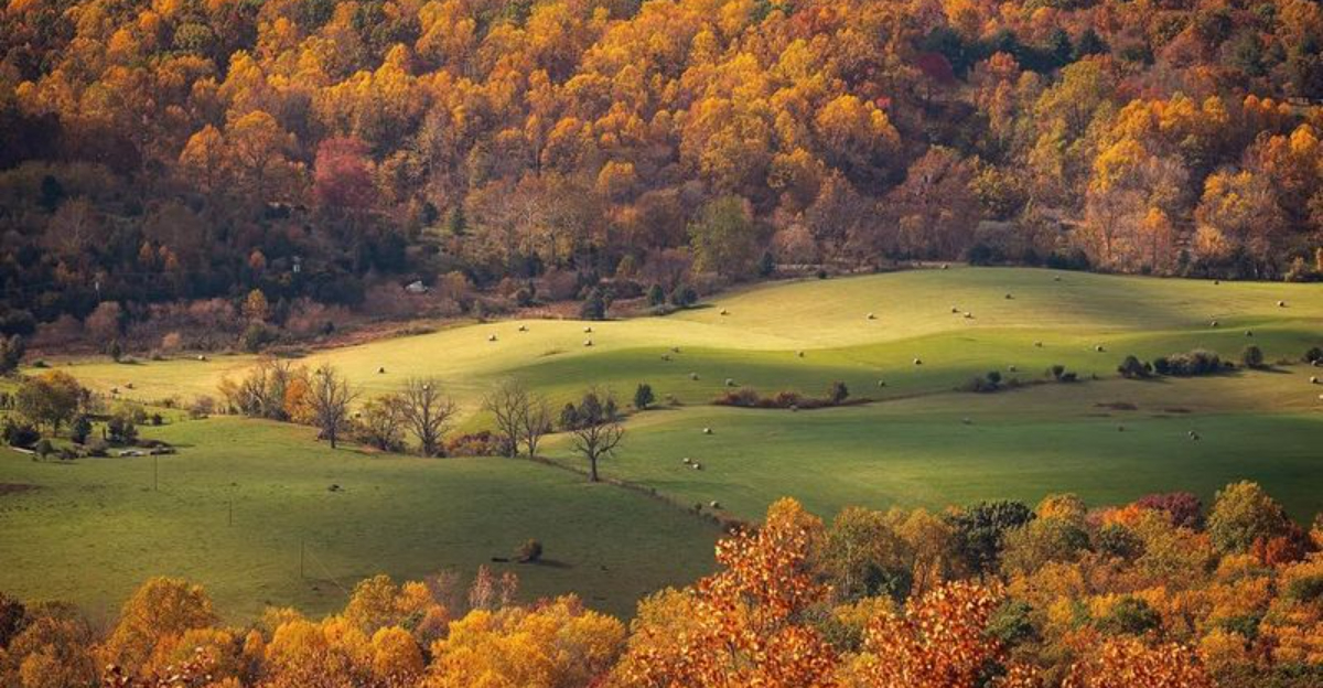 かつてほど平和ではなくなった17の国立公園
