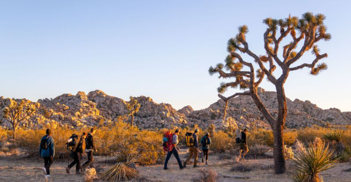 新鮮な空気の息のための米国の17の穏やかな自然斑点