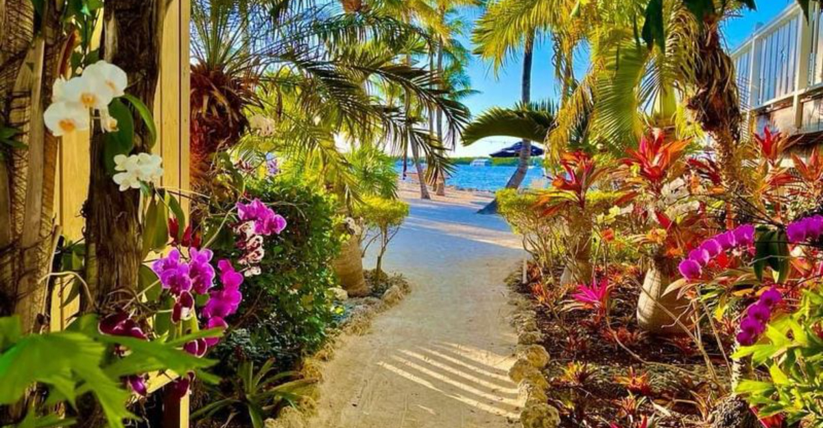 職人市場、屋外アート、そして見逃せない巨大なロブスターを備えた風変わりなフロリダキーズビレッジ