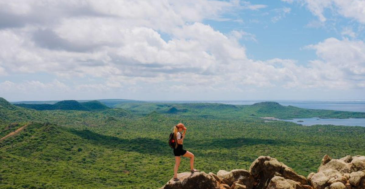 ボネール島で15の野生の体験を発見してください