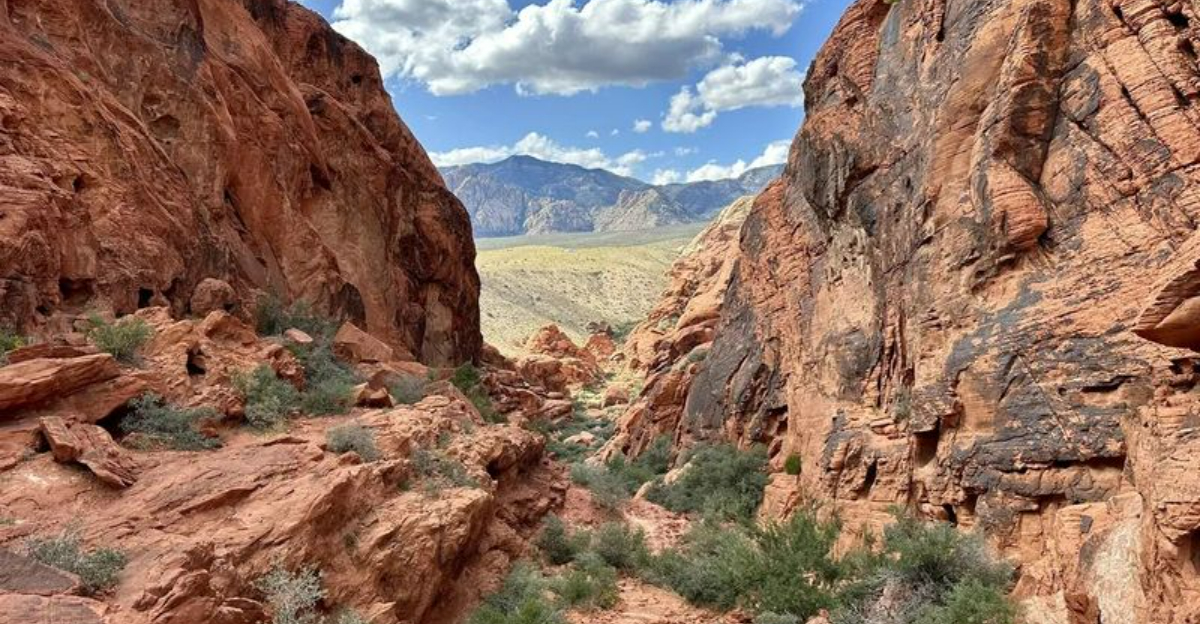 予算でベガスを体験する：5日間の旅程 +ヒント