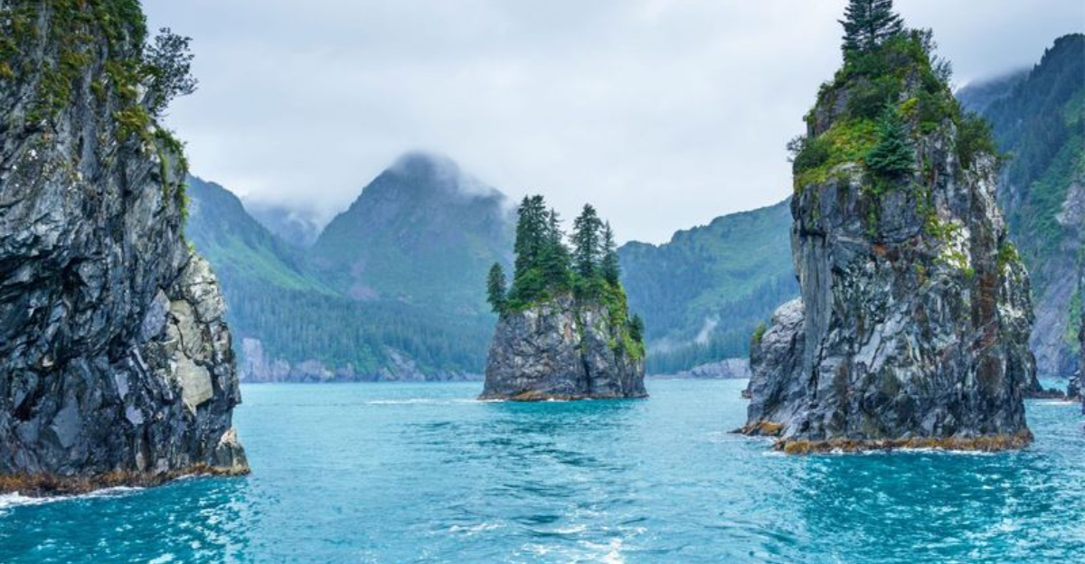 森からフィヨルドへ：18顎を落とす私たちの風景旅行に値する