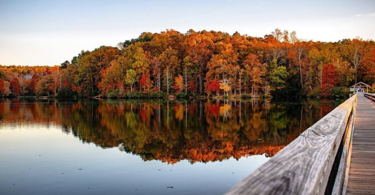 ナマズ、かわいいお店、昔ながらの雰囲気がすべて揃ったゆったりとしたテネシーシティ