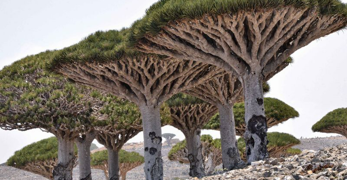 まだ観光客によってオーバーランされていないトップ12の旅行スポット